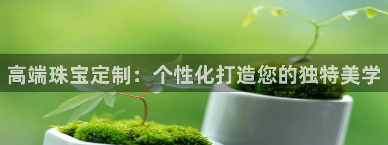 开丰娱乐下：高端珠宝定制：个性化打造您的独特美学