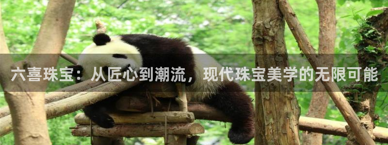 开丰娱乐主管家去判官333OO：六喜珠宝：从匠心到潮流，现代珠宝美学的无限可能