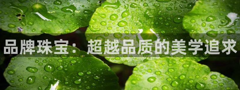 开丰娱乐平台地址电话：品牌珠宝：超越品质的美学追求