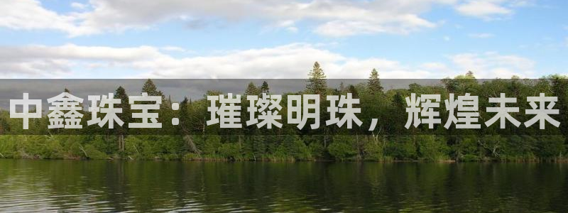 开丰娱乐寸六七五一38：中鑫珠宝：璀璨明珠，辉煌未来