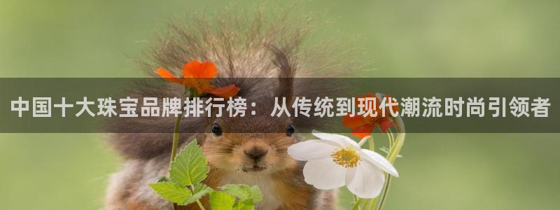 开丰娱乐67 5138：中国十大珠宝品牌排行榜：从传统到现代潮流时尚引领者