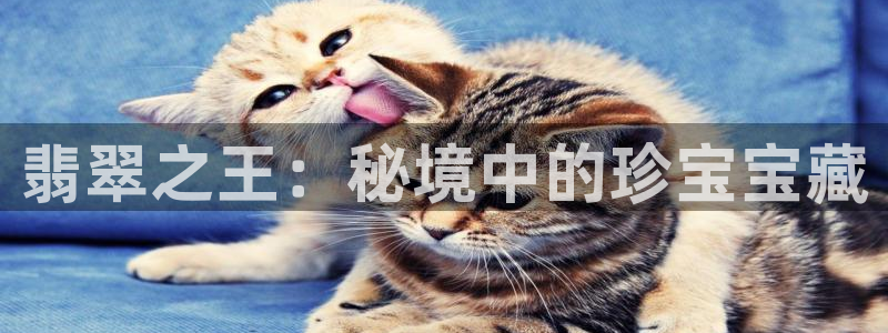 开丰娱乐怎么样