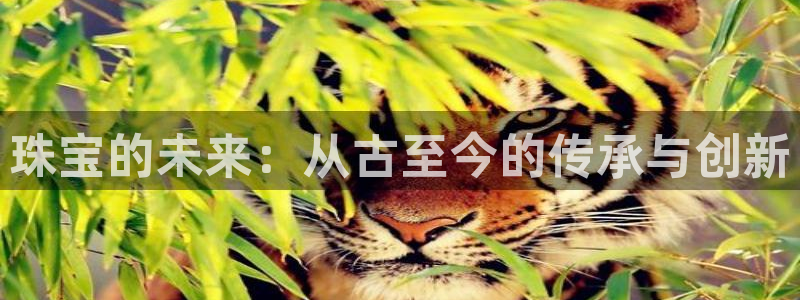 开丰娱乐注册资金多少：珠宝的未来：从古至今的传承与创新