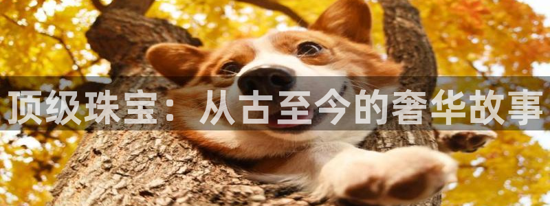 开丰娱乐体育平台：顶级珠宝：从古至今的奢华故事