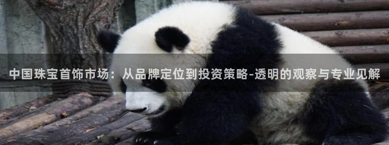 开丰娱乐注册登录不了：中国珠宝首饰市场：从品牌定位到投资策略-透明的观察与专业见