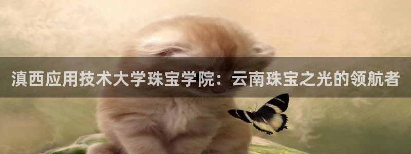 开丰娱乐测速：滇西应用技术大学珠宝学院：云南珠宝之光的领航者