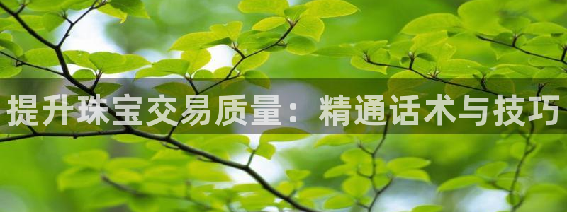 开丰娱乐官网登录网址：提升珠宝交易质量：精通话术与技巧
