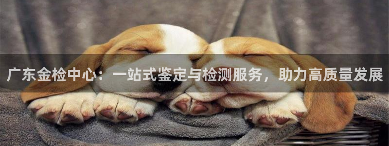 开丰娱乐平台地址电话：广东金检中心：一站式鉴定与检测服务，助力高质量发展