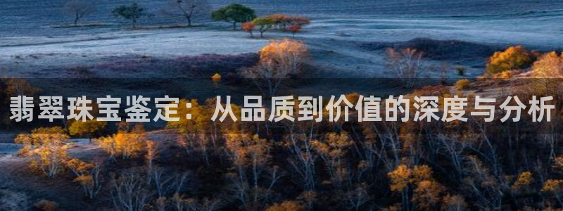 开丰娱乐登入地址：翡翠珠宝鉴定：从品质到价值的深度与分析