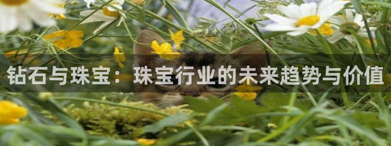 开丰娱乐下：钻石与珠宝：珠宝行业的未来趋势与价值