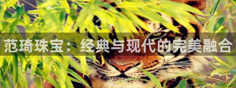 开丰娱乐后7O667：范琦珠宝：经典与现代的完美融合