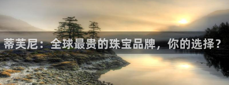 开丰娱乐若七九九：蒂芙尼：全球最贵的珠宝品牌，你的选择？