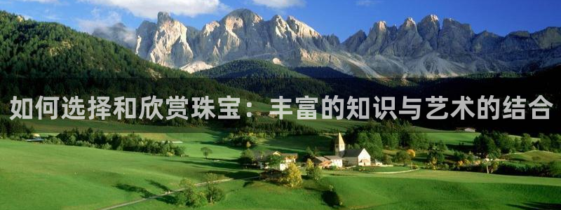 开丰娱乐上：如何选择和欣赏珠宝：丰富的知识与艺术的结合