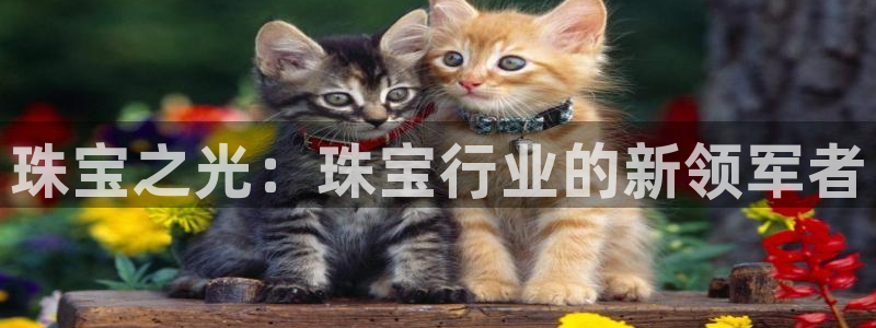 开丰娱乐登入：珠宝之光：珠宝行业的新领军者