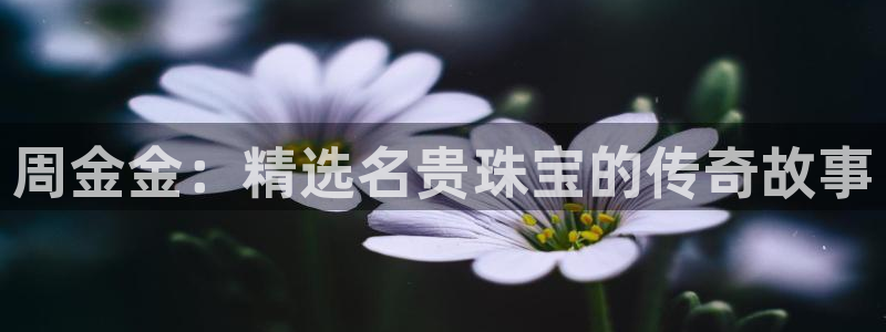 开丰娱乐网官网注册入口：周金金：精选名贵珠宝的传奇故事