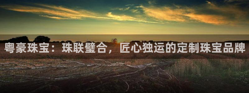 开丰娱乐登录：粤豪珠宝：珠联璧合，匠心独运的定制珠宝品牌