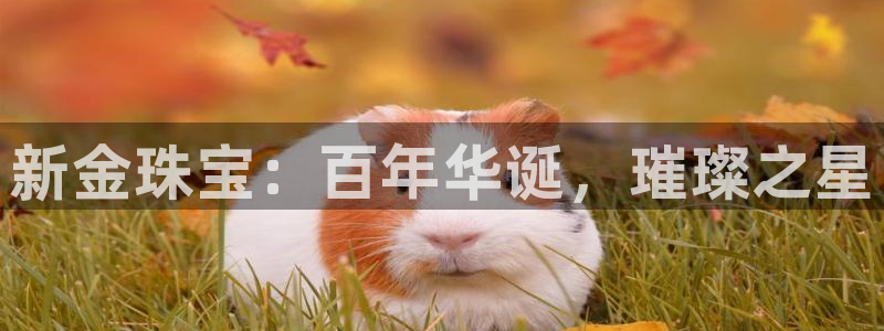 开丰娱乐地址查询：新金珠宝：百年华诞，璀璨之星