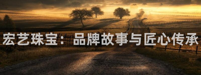 开丰娱乐平台官网登录：宏艺珠宝：品牌故事与匠心传承