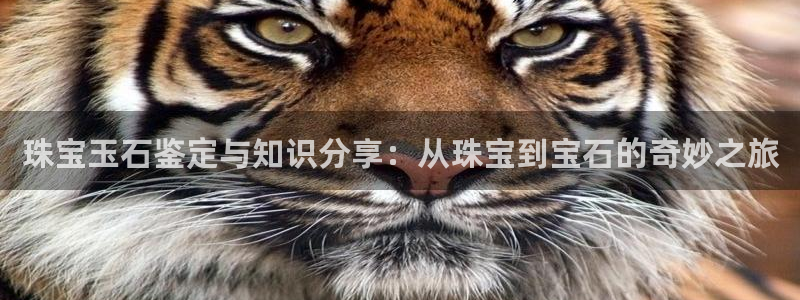 开丰娱乐日